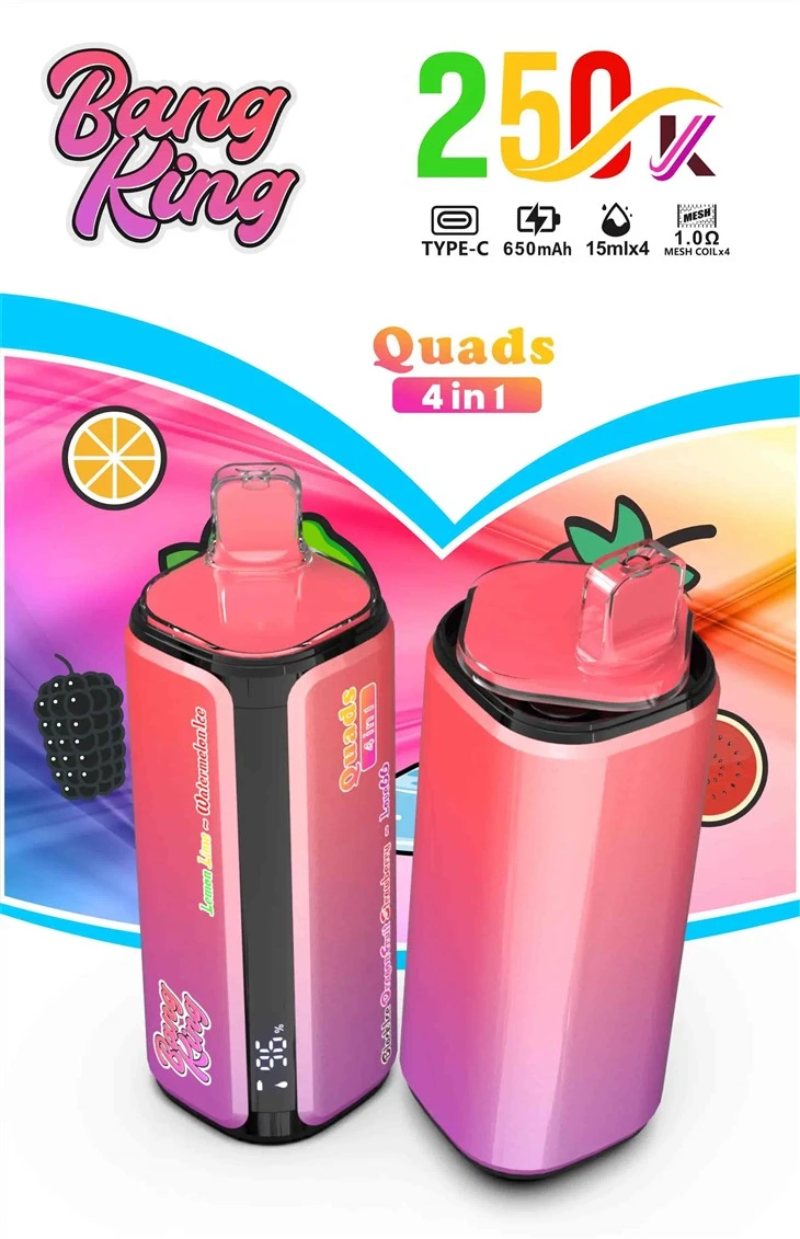 Bang King 250K puff baras 4 in 1